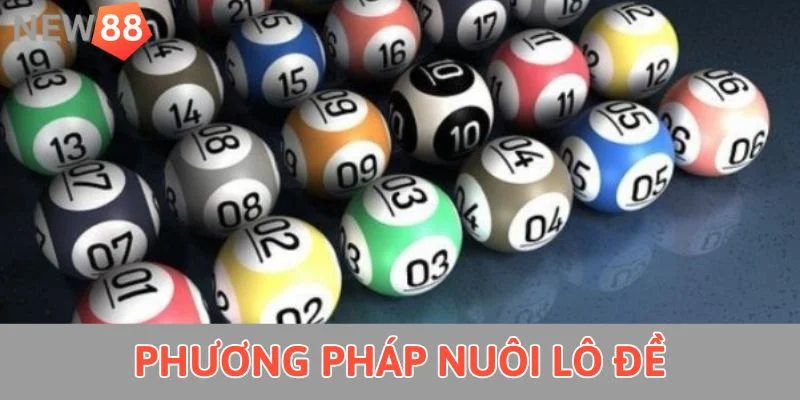 Dàn Đề 50 Số - Tất Tần Tật Thông Tin Tân Binh Cần Nắm Phương pháp nuôi lô đề